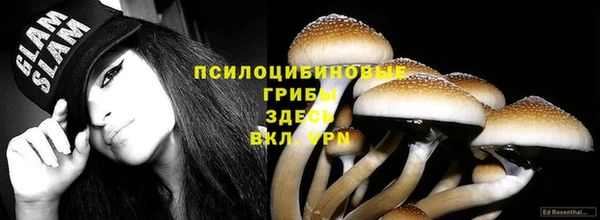 прущая мука Каменка