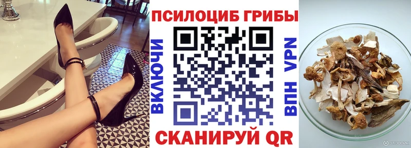 Псилоцибиновые грибы мицелий  Купить  Гудермес 